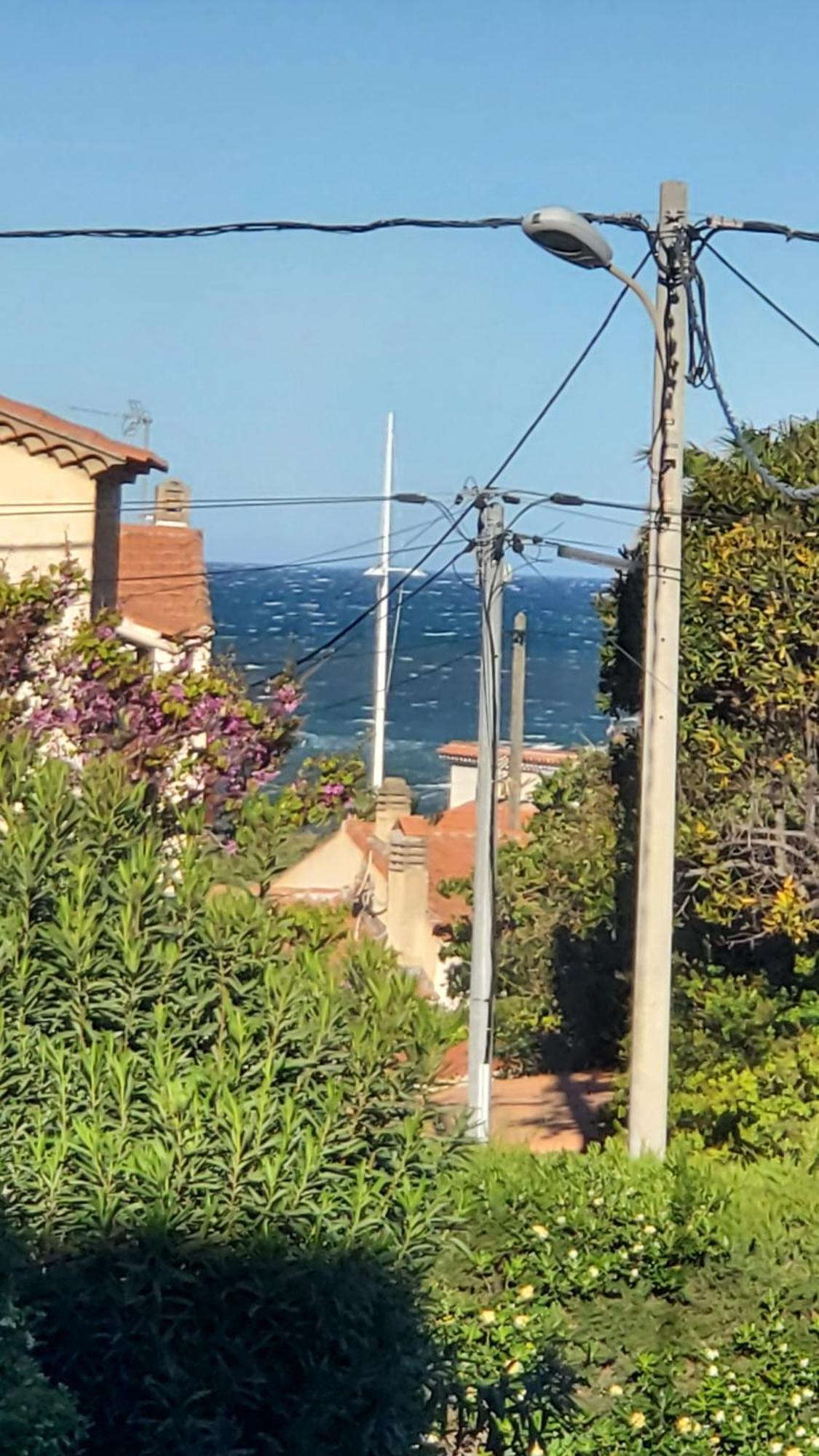 studio 150 m de la mer Six-Fours-les-Plages Eksteriør bilde